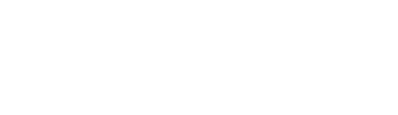 AO Phillip Group of Companies logo.